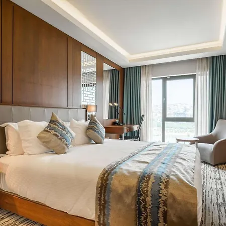 Hotel Clarion Golden Horn Estambul